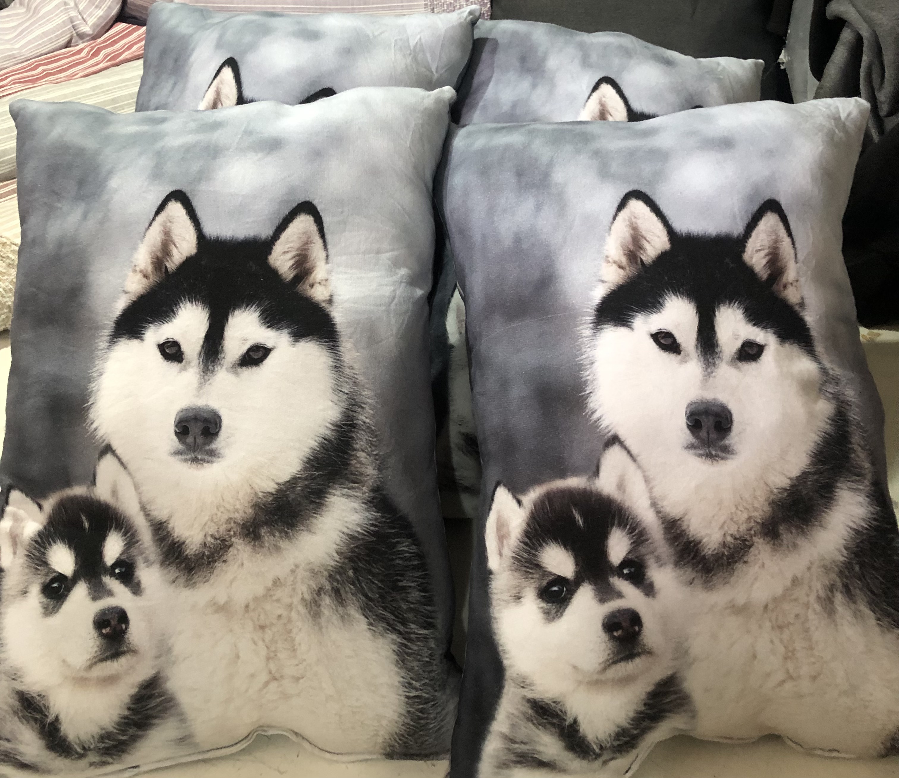 KURT BASKILI KIRLENT